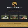 Mogelijkheid schoolmasters/recreatiepaarden-pony's te bekijken op 26 juni om 16u, op Stal Ceulemans.