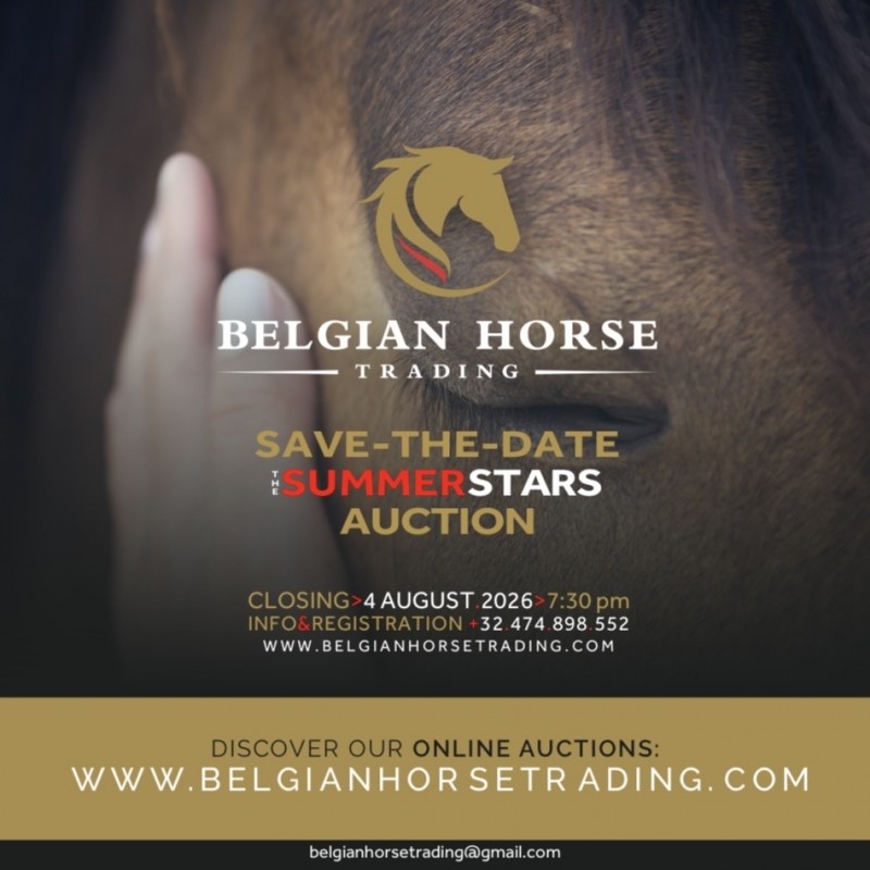 The Summer Stars Auction | NOW RECRUITING