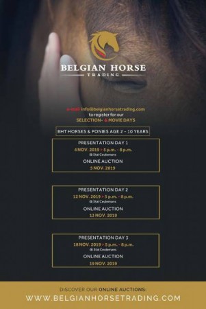 欢迎参加我们的下阶段拍卖会！  BHT 比利时马匹贸易网将在11 月份开始 3 场网上拍卖会马匹筛选。