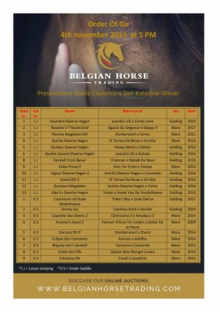 Order of Go, list of Auction Horses Presentation day 4th of November.