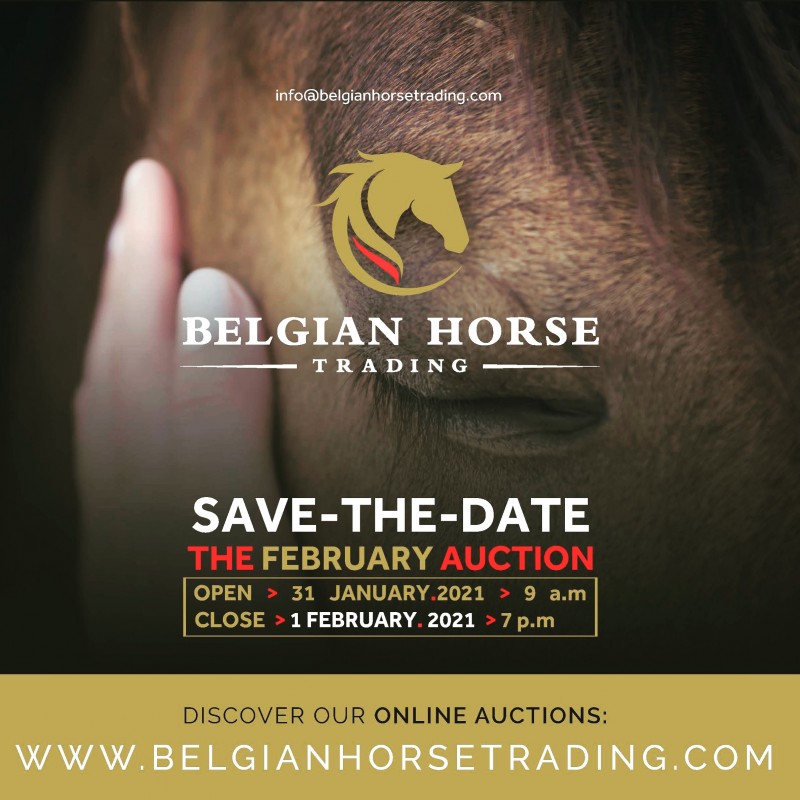 BHT The February Auction