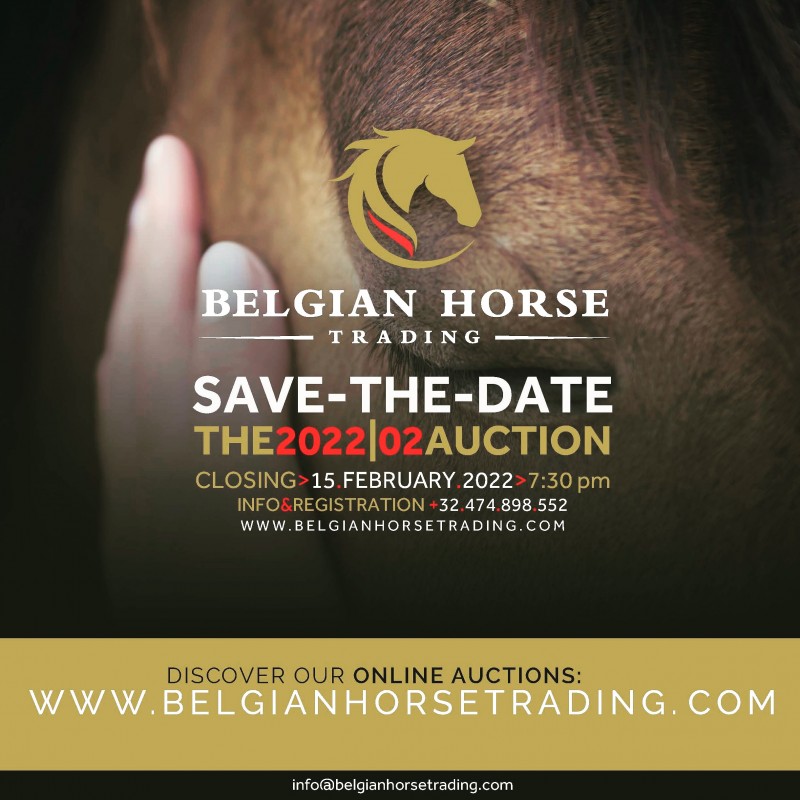 NOW LOADING | The February 2022 Auction | 13-15/02
