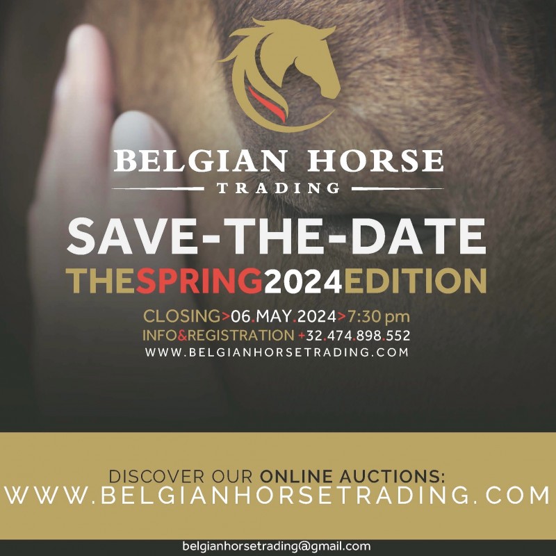 NOW LOADING | The Spring 2024 Auction